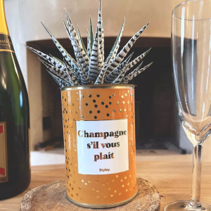 Plante Grasse en Pot – Champagne SVP