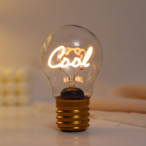 Ampoule LED Rechargeable – Cool