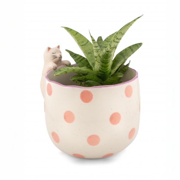 Cache Pot Chat – Image 3