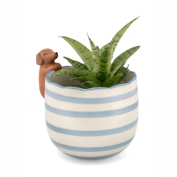 Cache Pot Teckel – Image 3