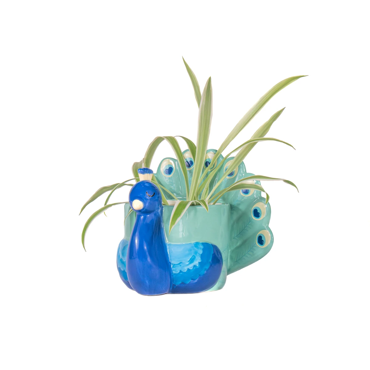 Cache Pot - Paon – Image 2