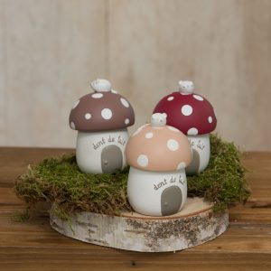 Boite à Dents Champignon