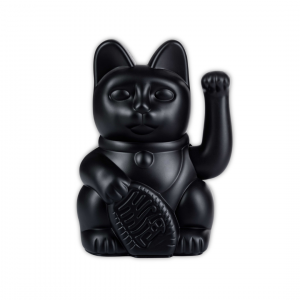 Lucky Cat Noir