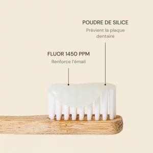 Recharge Dentifrice Menthe 180 ml – What Matters