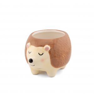 Cache Pot – Herisson