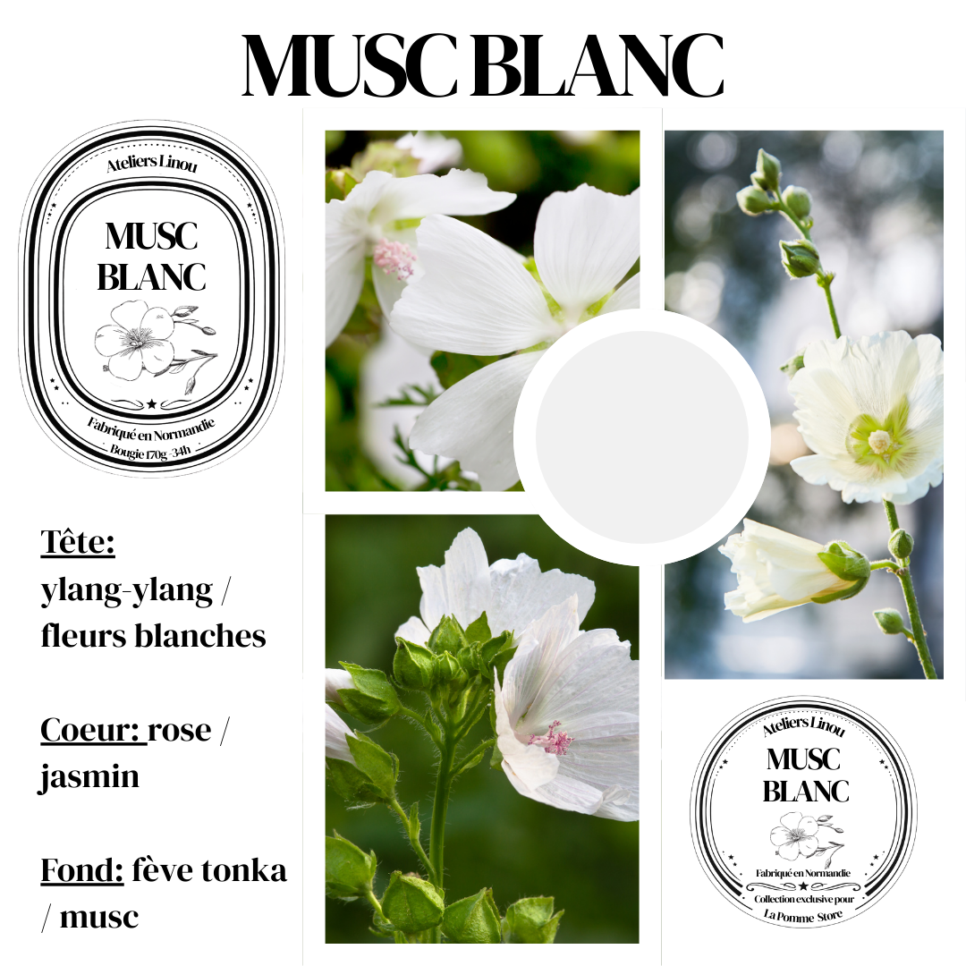 Bougie Pot - Musc Blanc – Image 3