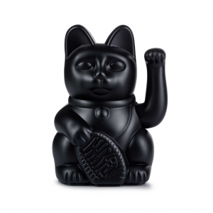Lucky Cat Noir