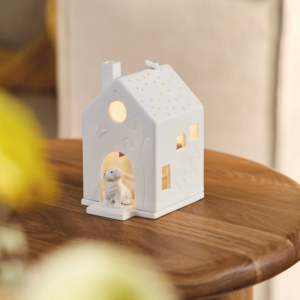 Maison Porcelaine – Chien